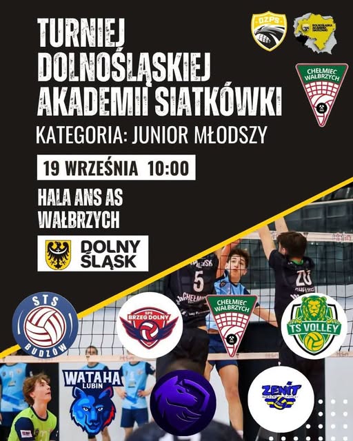 Dolnośląska Akademia Siatkówki - junior młodszy