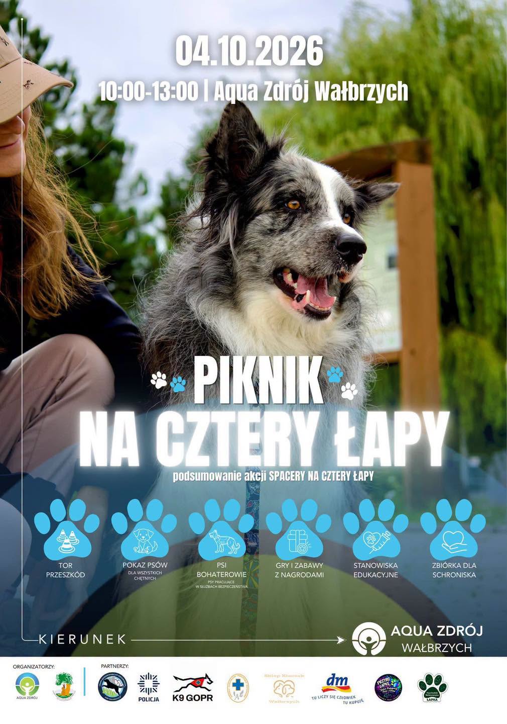 Piknik na cztery łapy