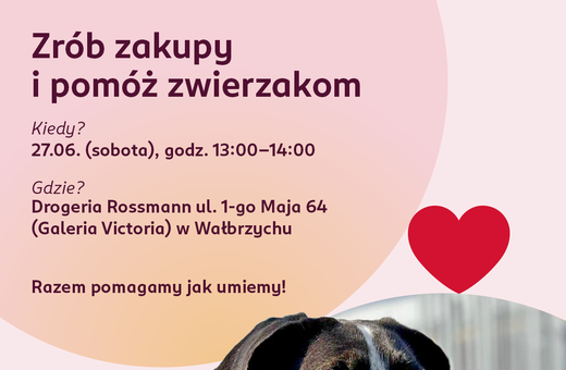 Wsparcie dla Schroniska dla Zwierząt im. Jana Lityńskiego