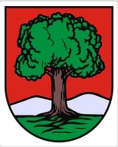 Pewne absolutorium