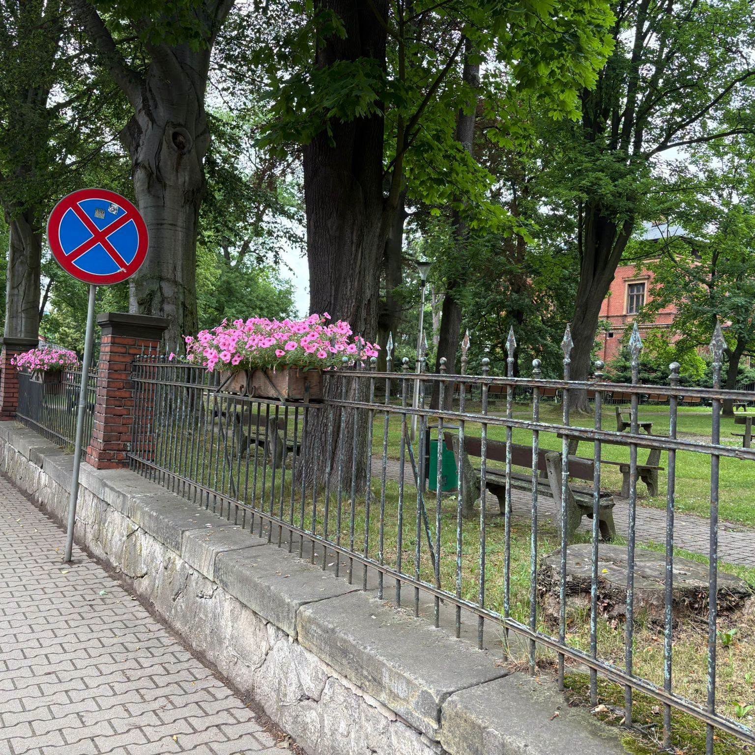 Głuszyca pięknieje