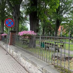Głuszyca pięknieje