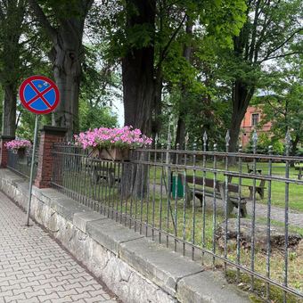 Głuszyca pięknieje