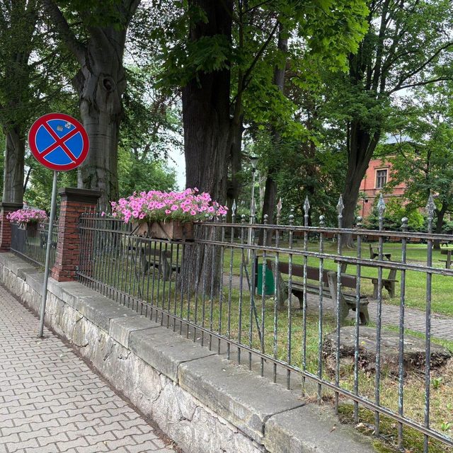 Głuszyca pięknieje