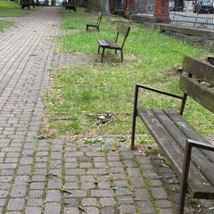 Głuszyca pięknieje