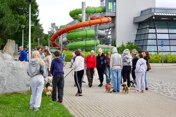 Wybrali się z pieskami na spacer i pomagali