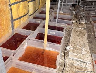 Produkowali narkotyki warte miliony. Policja odkryła profesjonalne laboratorium