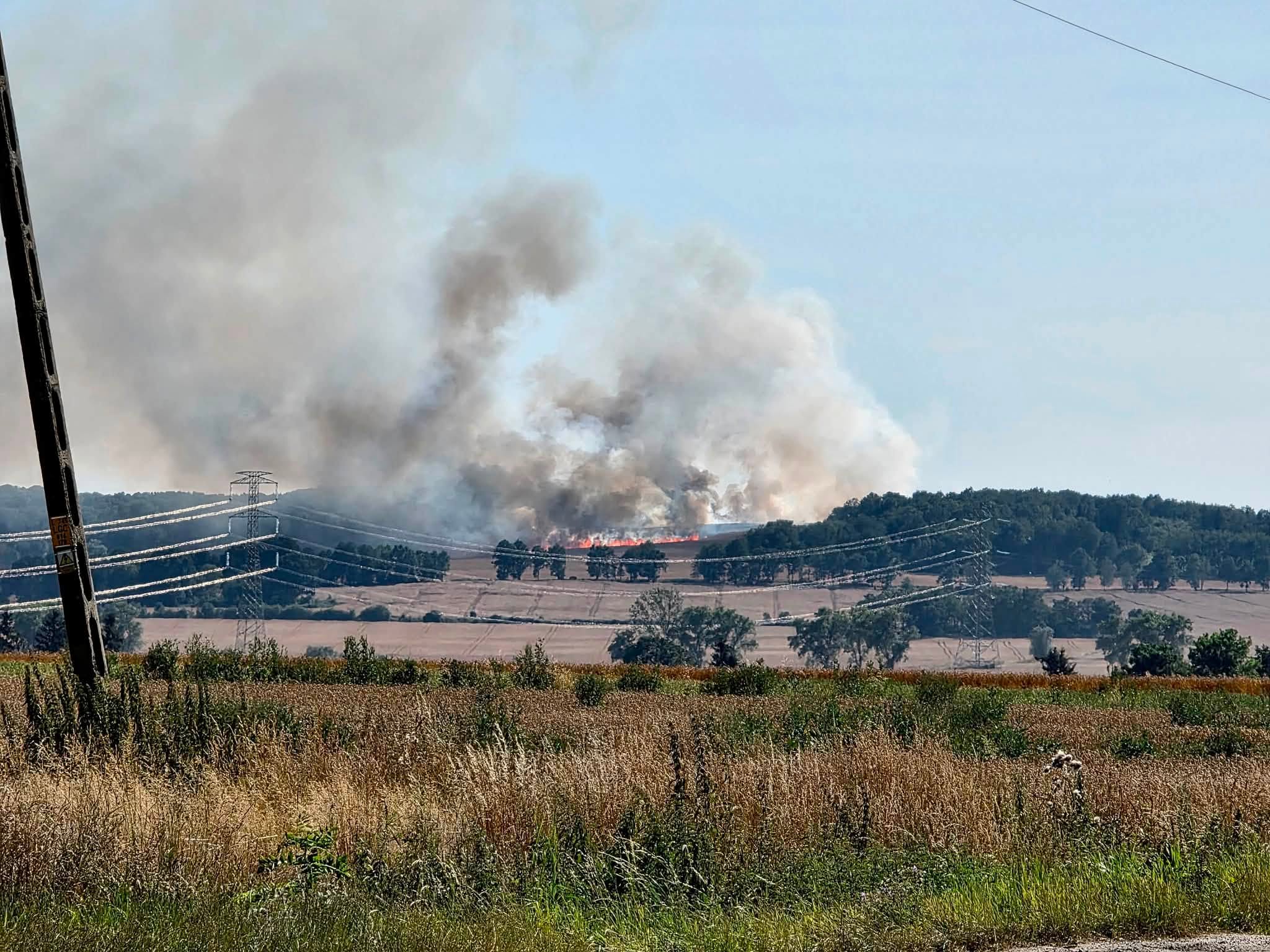 Kolejny pożar, spłonęło ponad 20 hektarów