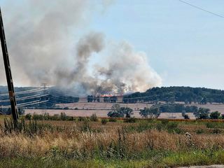 Kolejny pożar, spłonęło ponad 20 hektarów