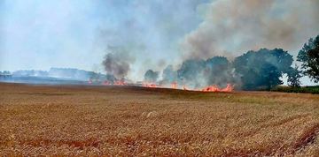 Kolejny pożar, spłonęło ponad 20 hektarów