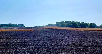 Kolejny pożar, spłonęło ponad 20 hektarów