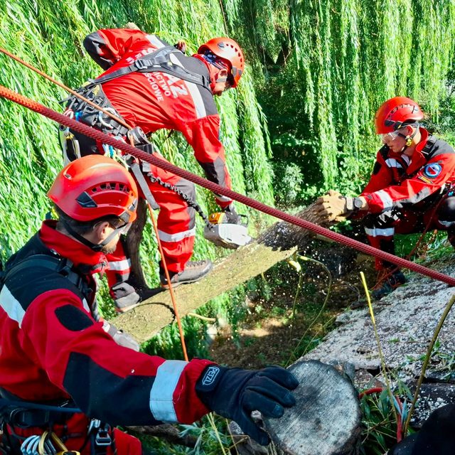Drzewa runęły na dach budynku mieszkalnego