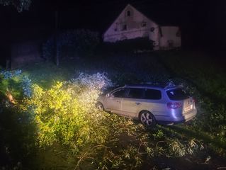 Powalone drzewa na drogach i samochodach
