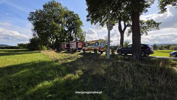 Kobieta wypadła z drogi i uderzyła w drzewo