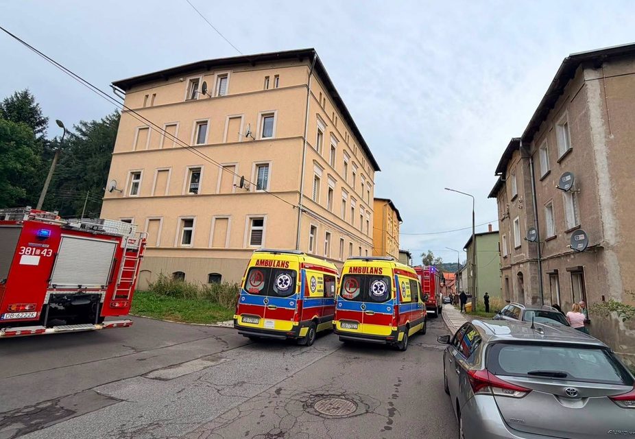 Terroryzował domowników z piłą łańcuchową w dłoniach