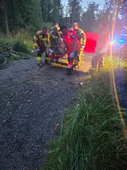 Dramatyczna walka o życie w środku lasu