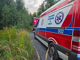 Dramatyczna walka o życie w środku lasu