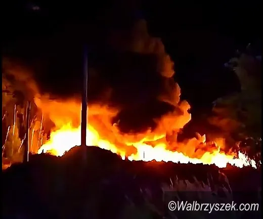 Kolejny olbrzymi pożar, tym razem składowiska opon