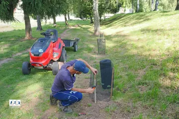 Drzewo runęło na ścieżkę spacerową. Miasto interweniuje