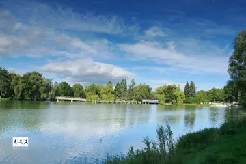 Drzewo runęło na ścieżkę spacerową. Miasto interweniuje
