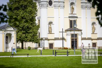 Pierwsze zwierzęta już dotarły przed IX Pielgrzymką Dzieci i Młodzieży