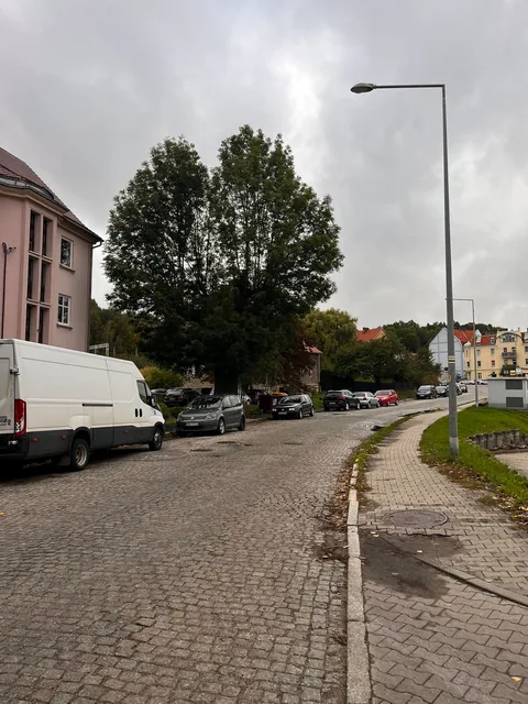 Koleje ulice i zatoki autobusowe do remontu