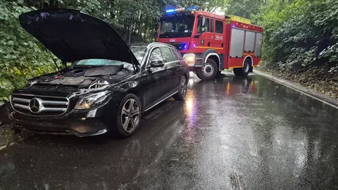 Kierowca nie opanował auta i udetrzył w drzewo