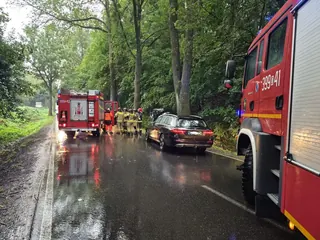 Kierowca nie opanował auta i udetrzył w drzewo
