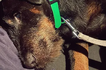 Pomogli tym, którzy sami nie potrafią poprosić o pomoc...