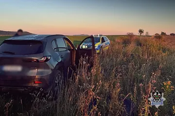 Ukradł ciężarówkę i parał się podrabianiem tablic rejestracyjnych