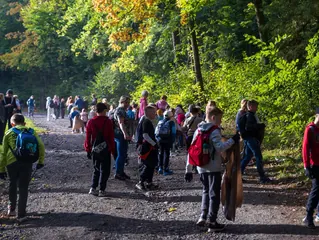 Wzgórze Gedymina i Park Zdrojowy posprzątane