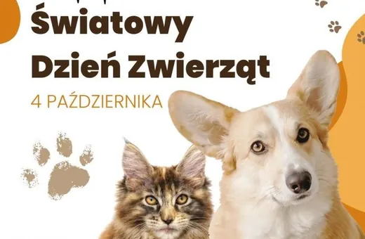 Wszystkiego najlepszego dla naszych przyjaciół. Dziś obchodzimy Międzynarodowy Dzień Zwierząt