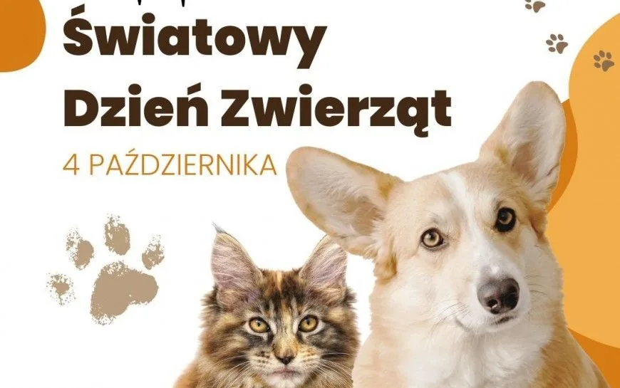 Wszystkiego najlepszego dla naszych przyjaciół. Dziś obchodzimy Międzynarodowy Dzień Zwierząt