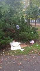 Niby park, a jak wysypisko śmieci