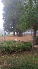 Niby park, a jak wysypisko śmieci