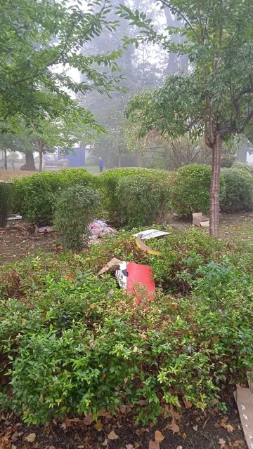 Niby park, a jak wysypisko śmieci