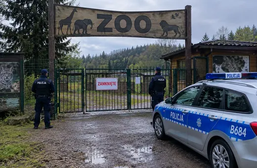 Policja i prokuratura wkroczyła do prywatnego Zoo w Łącznej. Zatrzymano 4 osoby! [WIDEO]