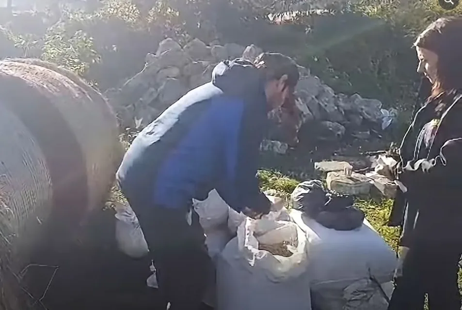 Okoliczny rolnik wsparł zwierzęta z Zoo w Łącznej [WIDEO]