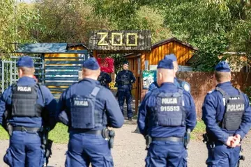 Są nowe ustalenia: Policja opuszcza obiekt, pracownicy wracają do pracy w Zoo Łączna!