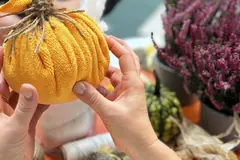 Magia jesieni w Auchan Wałbrzych. Dyniowe dekoracje, kreatywna zabawa i rodzinne atrakcje