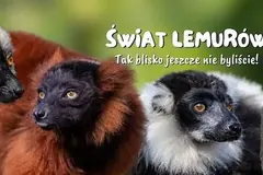 Dwa martwe zwierzęta znaleziono po interwencji służb w Zoo Łączna!