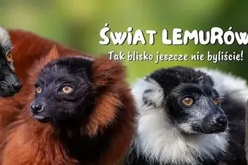 Dwa martwe zwierzęta znaleziono po interwencji służb w Zoo Łączna!