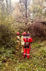 Drzewo runęło na linię elektroenergetyczną i dach budynku [ZDJĘCIA]