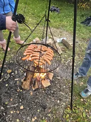 Nasze morsy rozpoczęły sezon [ZDJĘCIA]