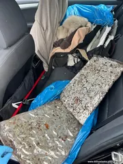 Zadali mocny cios w środowiska pseudokibiców [ZDJĘCIA]
