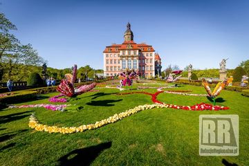 Trwa Festiwal Kwiatów