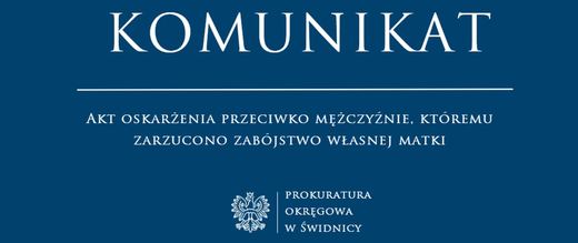 Rzeźbą zabił matkę
