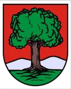 Komisja doraźna nie powstanie