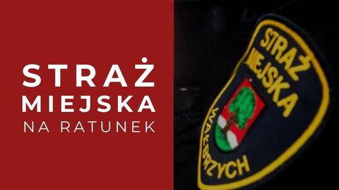 Profesjonalne działania strażników