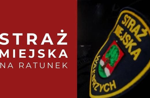 Profesjonalne działania strażników